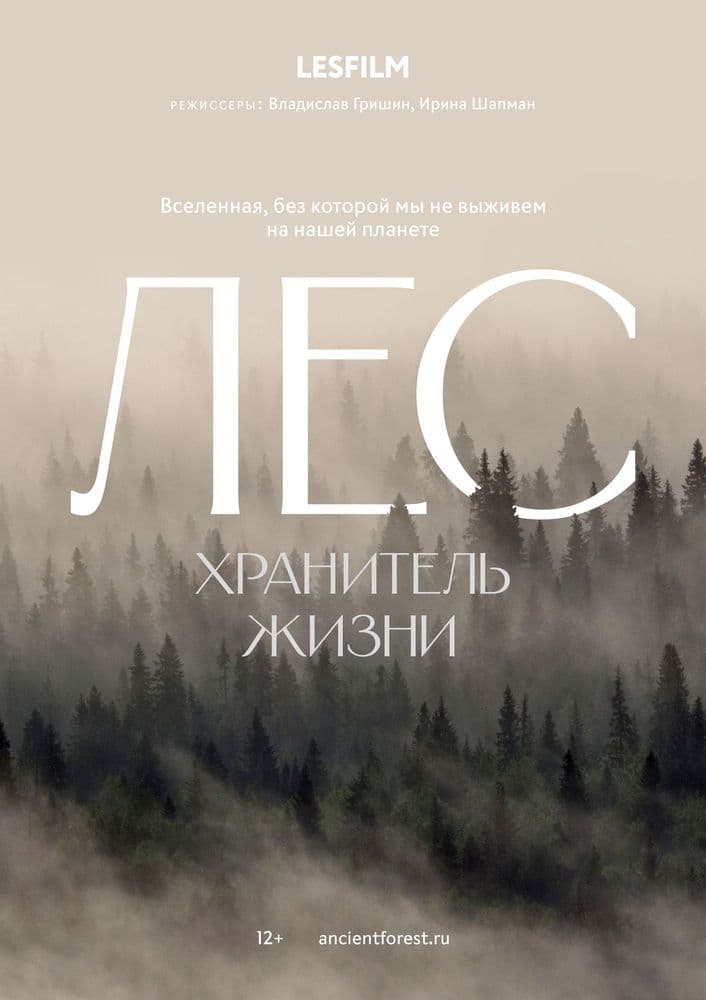 Лес. Хранитель жизни