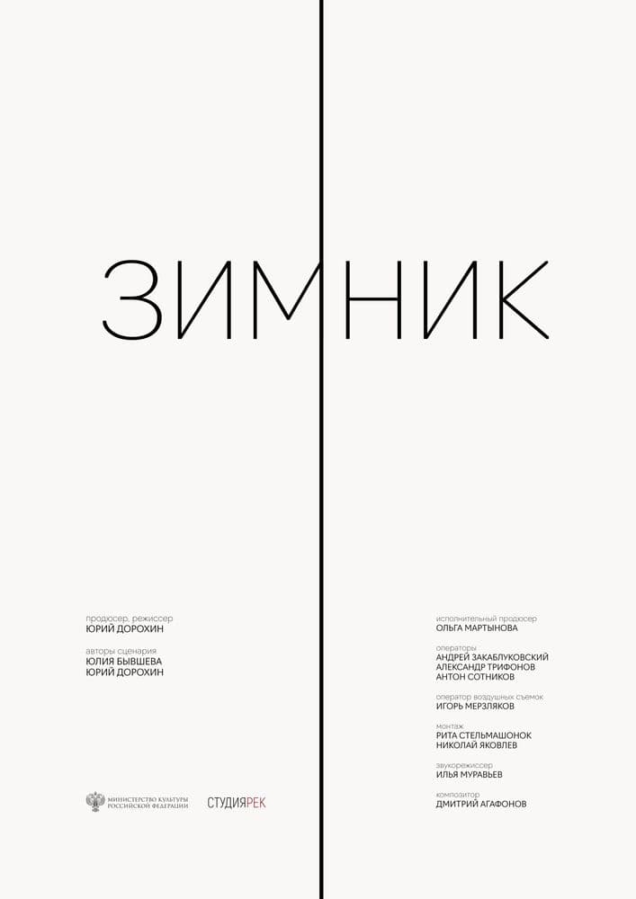 Зимник